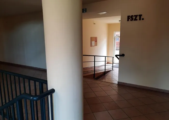 Apartment Crazy Frog Gambrinusz Ii. *